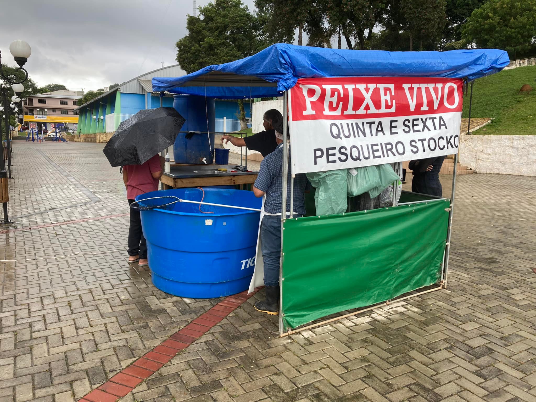 Feira Peixe Vivo 22 Stocko